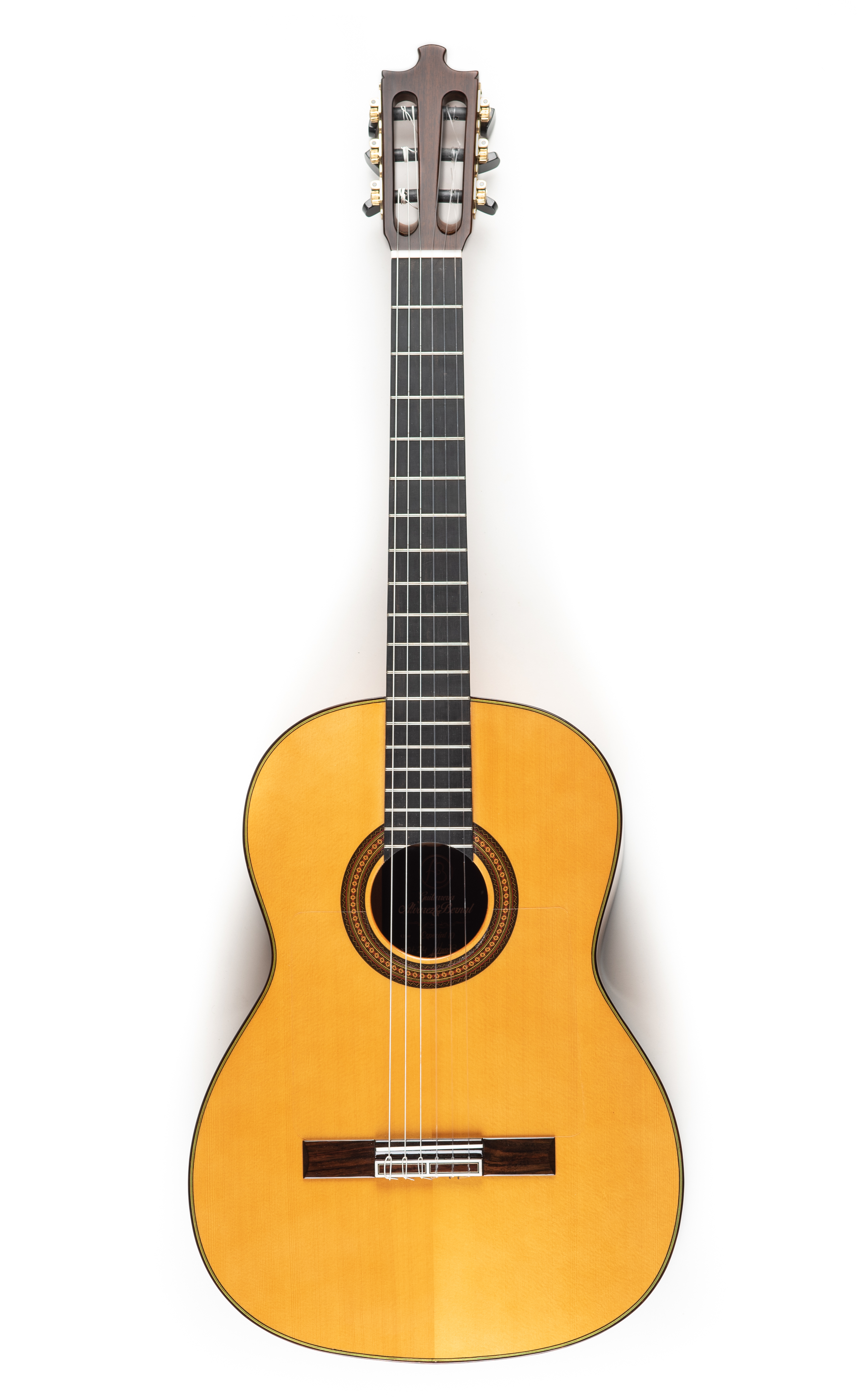 Guitarra Especial 10