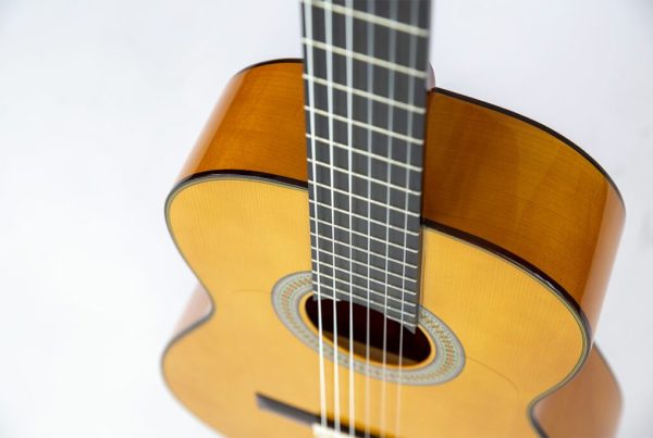 Imagen de guitara flamenca pro fl