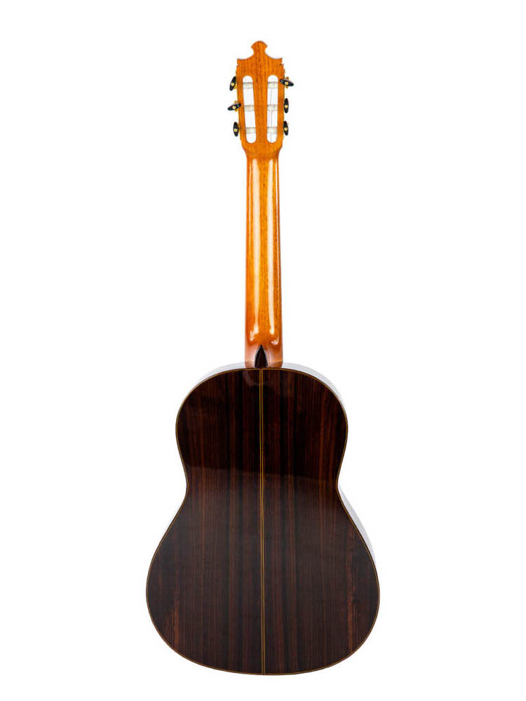 Image of Luthier especial 10 tras