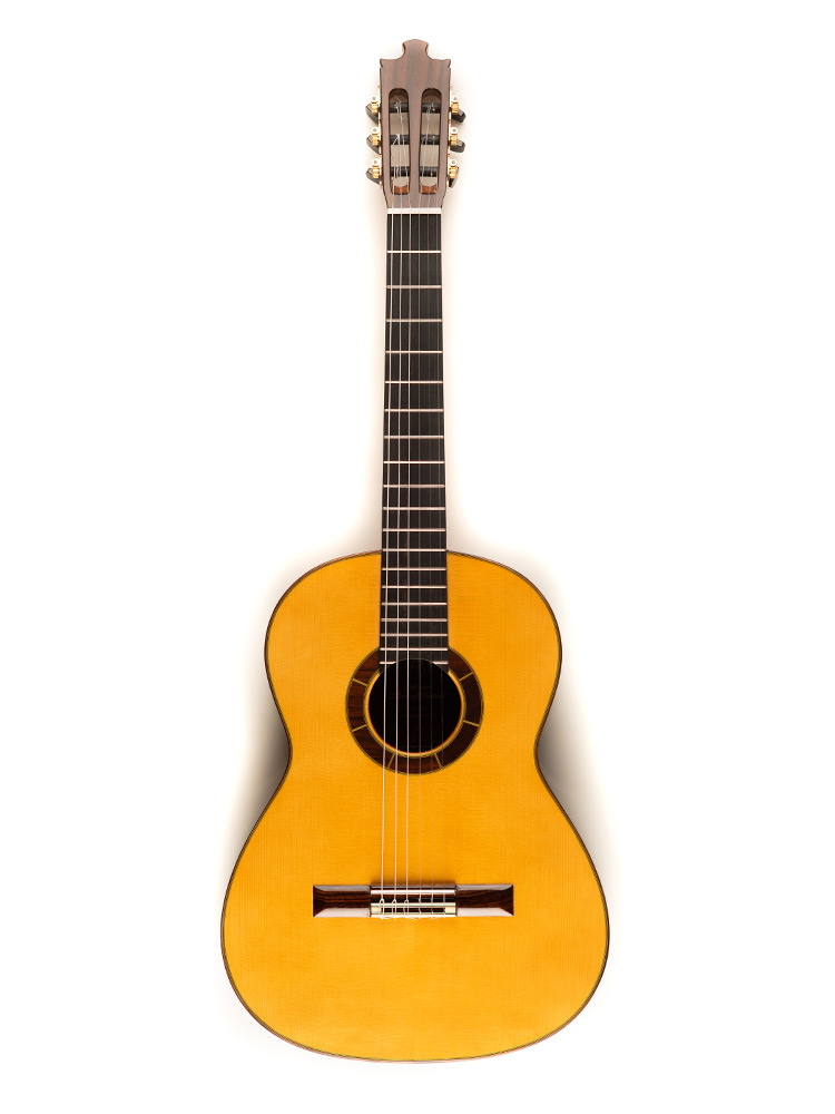 Image of Luthier madagascar 25 delante comparacion