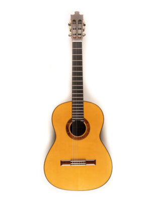 Image of Luthier paoferro 25 delantera