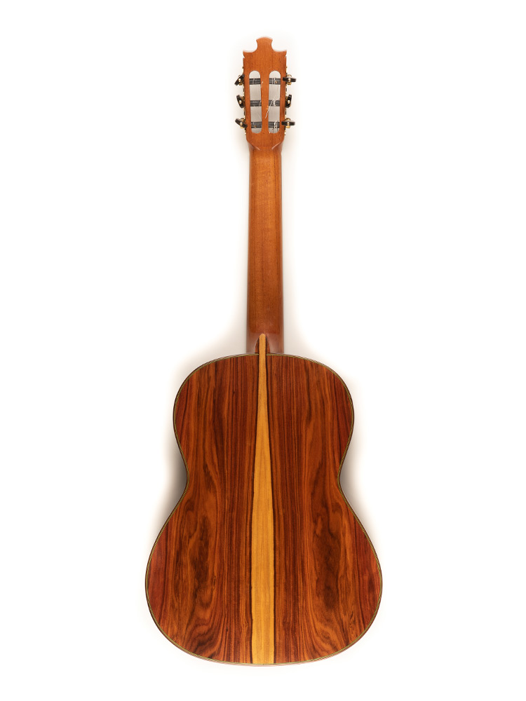 Image of Luthier paoferro 25 trasera