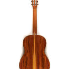 Image of Luthier paoferro 25 trasera